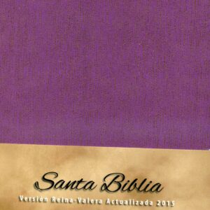 Biblia RVR2015 Morada Piel Europea