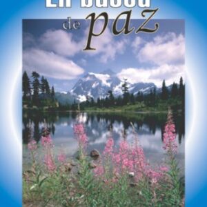 En Busca De Paz: Descubra El Plan De Dios Para Manejar El Estres