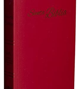 Biblia RVR2015 Rojiza Tapa Blanda