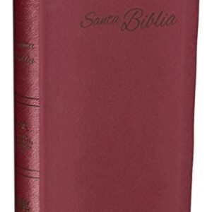 Biblia RVR2015 Rojiza Piel Europea