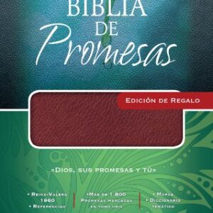 Biblia De Promesas