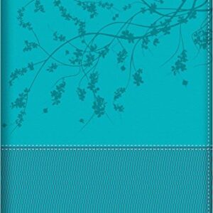 Biblia de la mujer conforme al corazón de Dios: Duotono Aqua