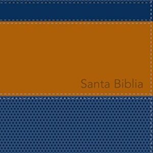 Santa Biblia De Estudio Serie 50 RVR1960
