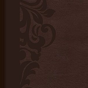 RVR1960 Biblia De Estudio Para Mujeres, Cafe Simil Piel
