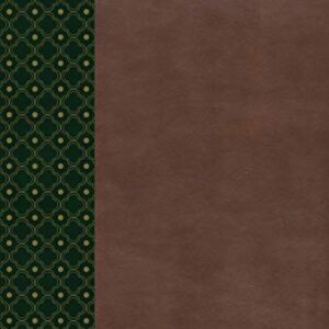 RVR1960 Biblia De Estudio Scofield, Verde Oscuro/Castaño Simil Piel Con Indice