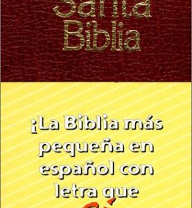 Santa Biblia-Rv 1995