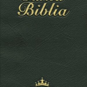 Santa Biblia RV1960
