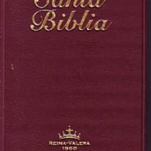 Santa Biblia Mini Bolsillo Tinto
