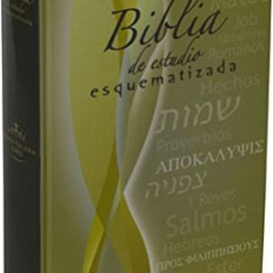 Biblia De Estudio Esquematizada