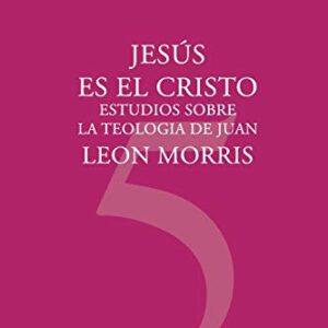 Jesus Es El Cristo: Estudios Sobre La Teologia De Juan (Coleccion Teologica Contemporanea)