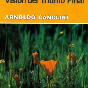 Apocalipsis: Vision del Triunfo Final (Coleccion Estudios Bbiblicos Bbasicos)
