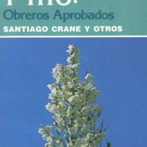 Timoteo y Tito: Obreros Aprobados (Coleccion Estudios Biblicos Basicos)