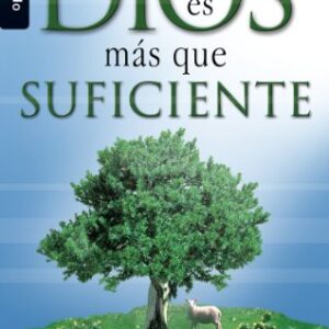 Dios Es Mas Que Suficiente (Serie Bolsillo)