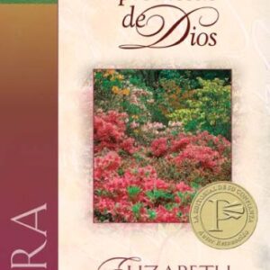Sara, camina en las promesas de Dios (Una mujer conforme al corazón de Dios)