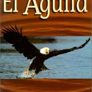 El águila: Símbolo de excelencia