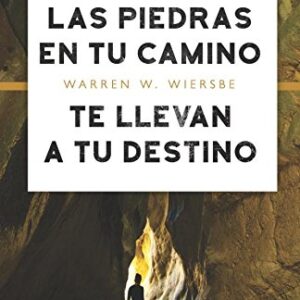 Las Piedras En Tu Camino Te Llevan A Tu Destino